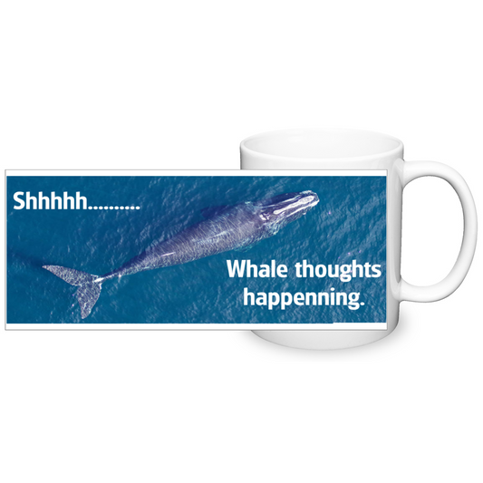 Shhhh.... Whale thoughts happening