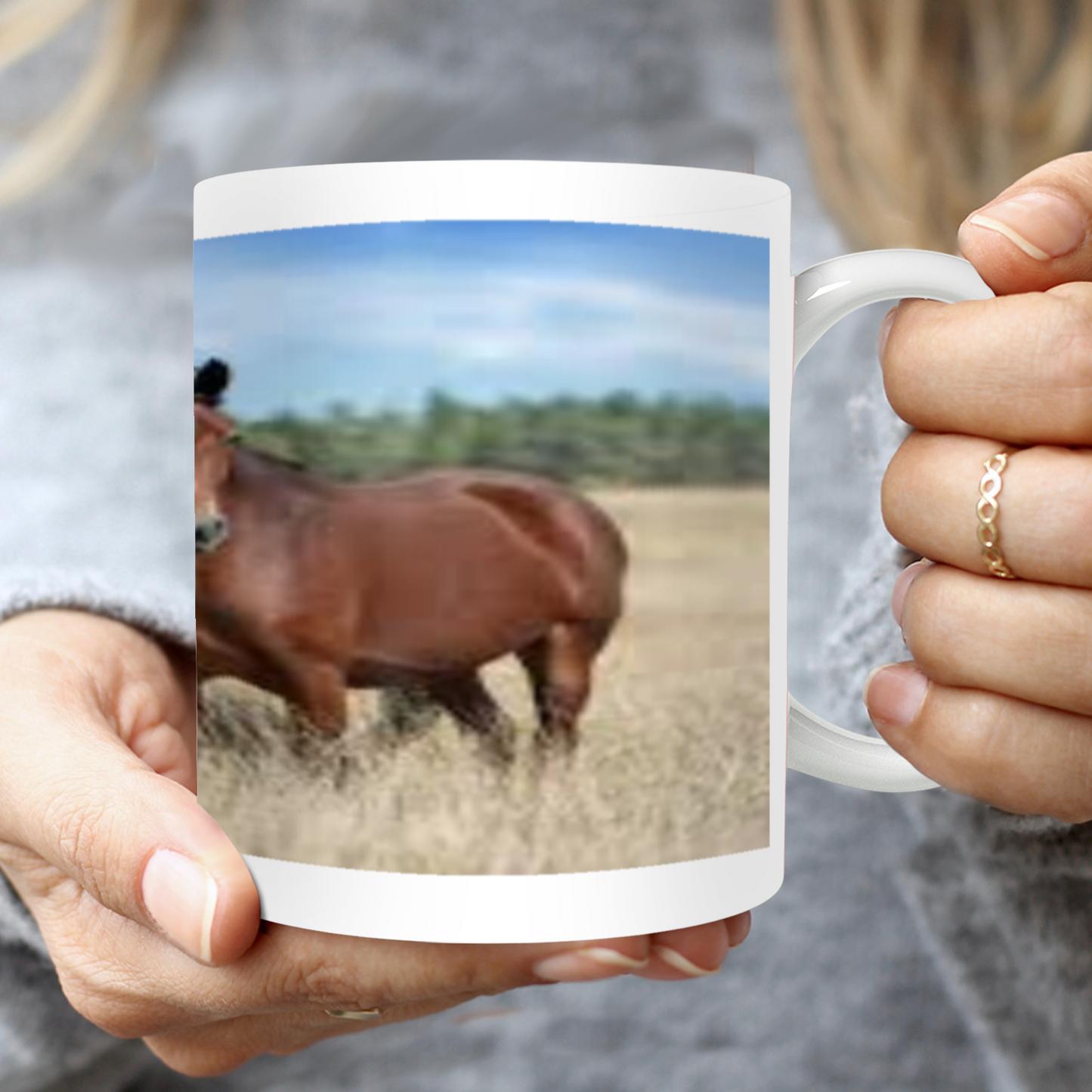 Horses - Stallion in a Field