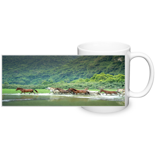 Horses in a mountain River